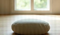 Zafu meditation cushion